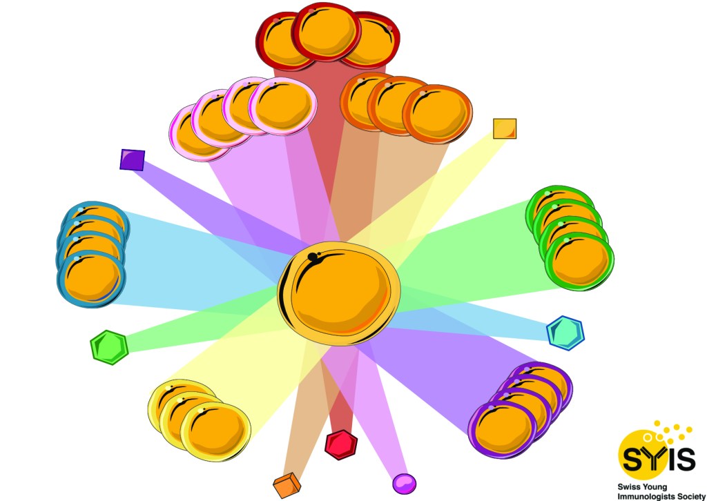 Plasticity: An Identity&nbsp;Crisis