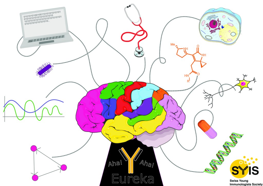 Sum of i^2: Interdisciplinary immunology