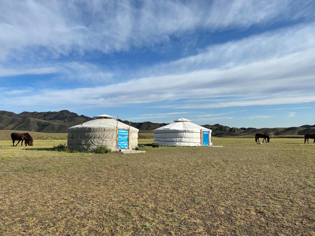 How Lifestyle and Microbes Shape Immunity: Lessons from Mongolia
